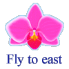 Fly to East